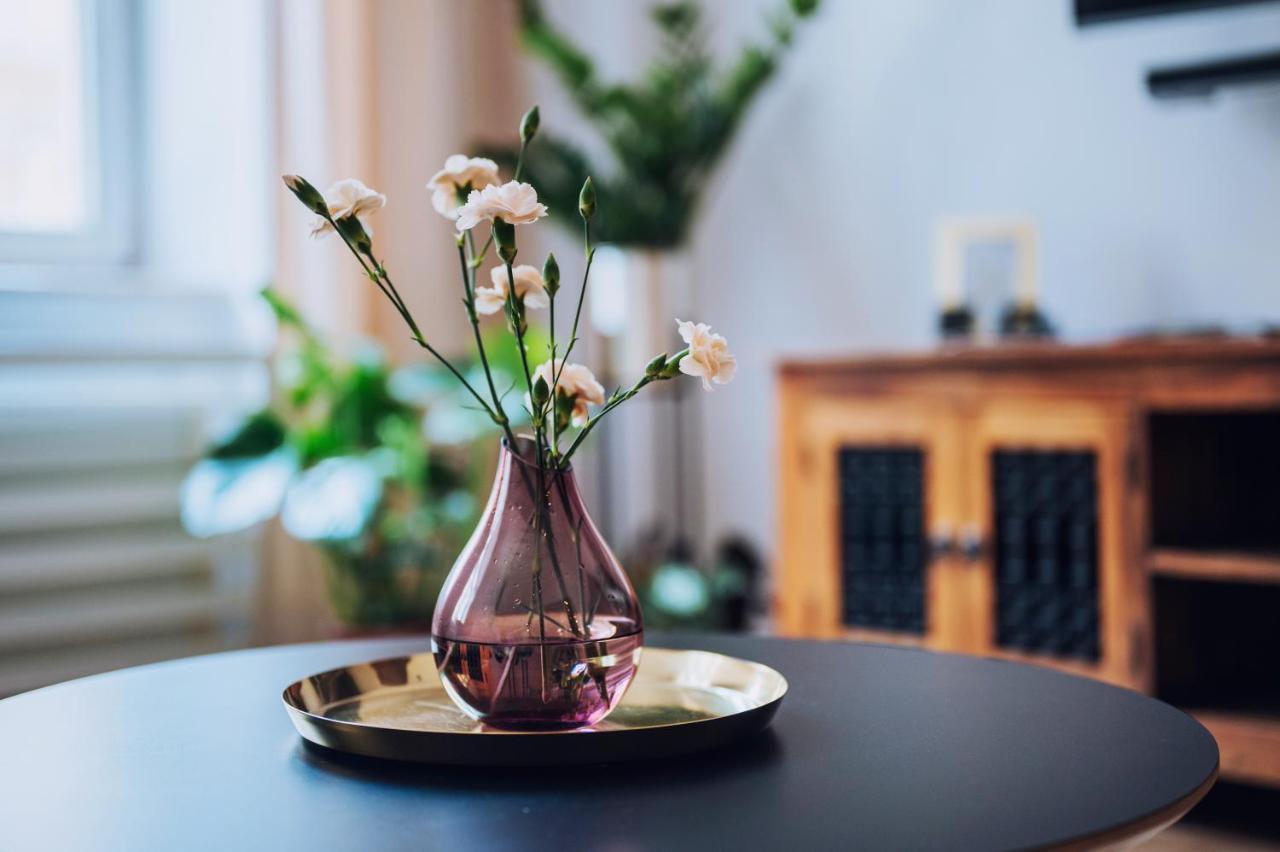 Szpitalna 20 Apartment Nr 8 كراكوفيا المظهر الخارجي الصورة