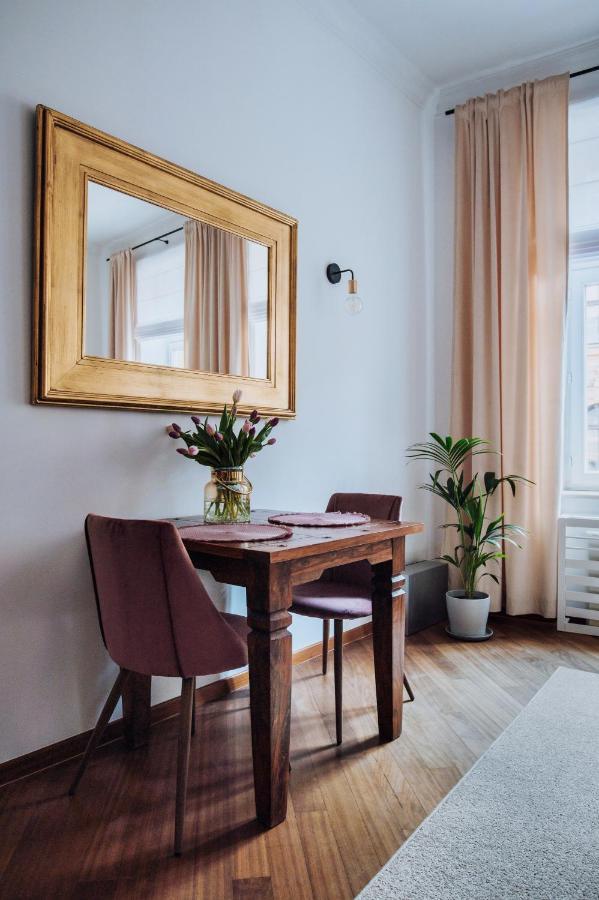 Szpitalna 20 Apartment Nr 8 كراكوفيا المظهر الخارجي الصورة